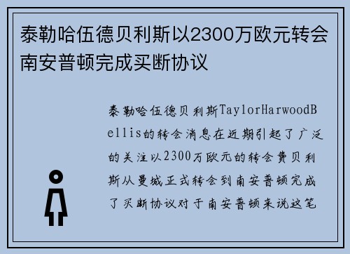 泰勒哈伍德贝利斯以2300万欧元转会南安普顿完成买断协议